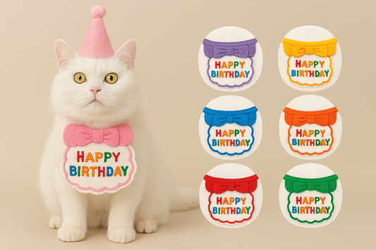 Verjaardagsmuts voor katten