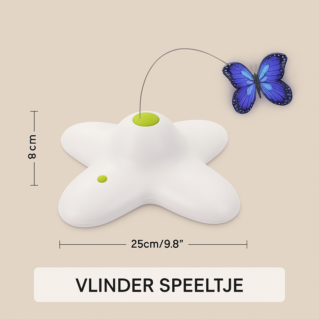 Kattenspeeltje : Vlinder