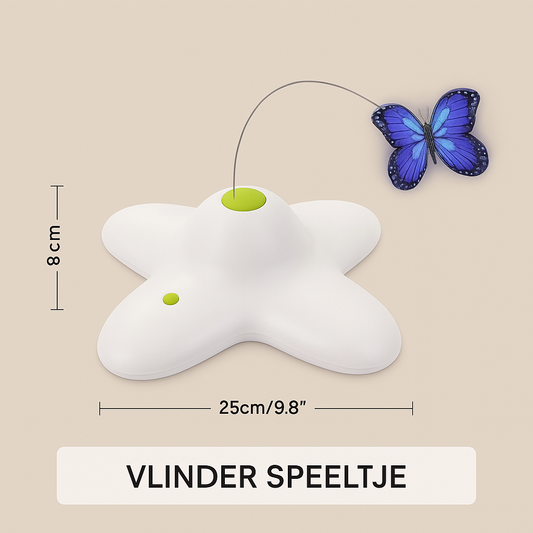 Kattenspeeltje : Vlinder