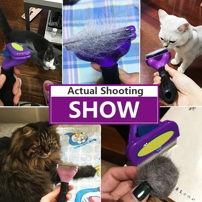 Cat Hair Removal Brush