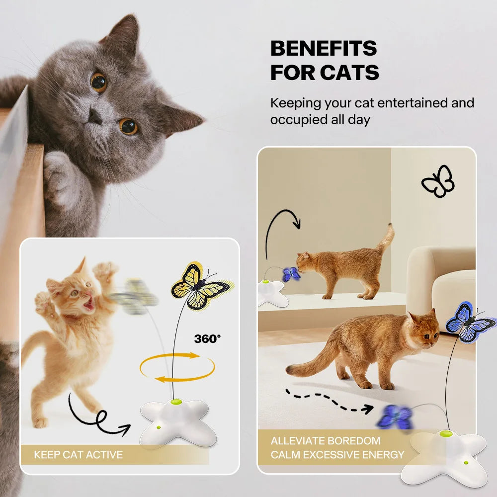 Kattenspeeltje : Vlinder