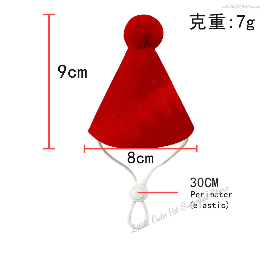 Verjaardagsmuts voor katten